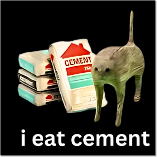 Meme Posters and Art
